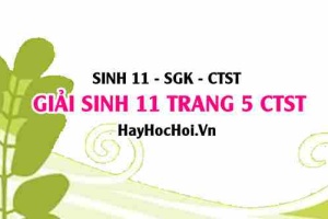 Giải Sinh 11 trang 5 Chân trời sáng tạo SGK